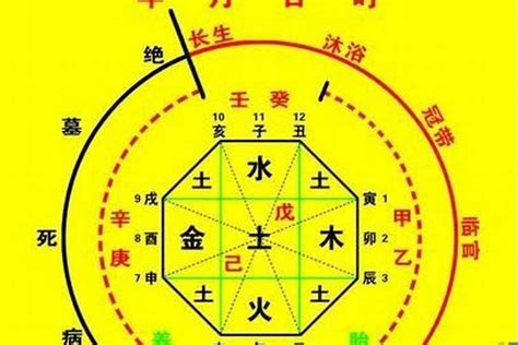 八字五行比例|生辰八字算命、五行喜用神查询（免费测算）